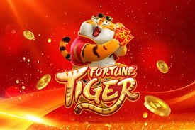 bet6k bet