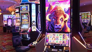 bet6k bet